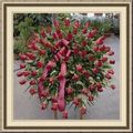 Flower Shop, Feneral Flower, Memorial Flower in Seattle, Washington